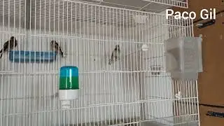 Aquí estamos aún vivo 😄😄😄