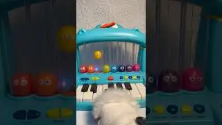 Cute & fun hippo piano 🎹 trend
