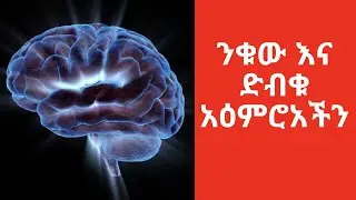 ንቁ እና ድብቁ አዕምሮአችን  TRUTH About Your SUBCONSCIOUS MIND Exposed