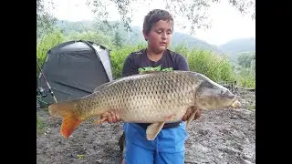 Kapři z Berounky...Totální masakr