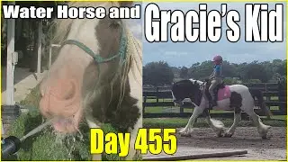 Gracie's Kid and a Water Horse | Daily Vlog Day 455 | Connerton Adventures