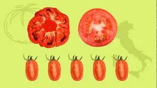 Viva il Pomodoro!