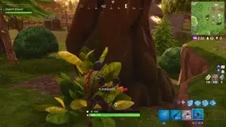 Fortnite tom & jerry shit