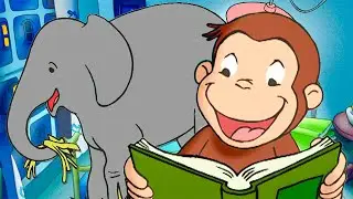 George's Elephant Neighbour?! 🐘 | Curious George Compilation | Adventure & Play