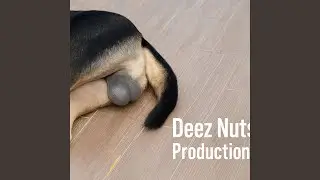 Deez Nuts production