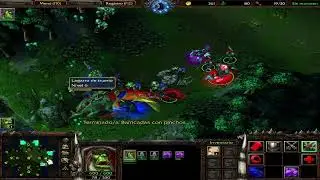 Warcraft III The frozen throne partida personalizada 4vs4 mapa Arrecife Shamrock