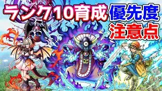 【DQタクト】ランク10育成優先度＆注意点！【#ドラクエタクト/#ドラゴンクエストタクト/#DQTact】