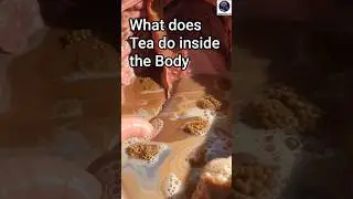Tea Digestion In Stomach | Tea Breakdown Inside Stomach #ytshorts #youtubeshorts #youtube