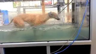 Weaselcam - 4th session