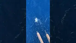 Terrifying Secrets Beneath the Red Sea 🌊👻