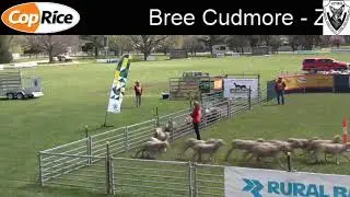 2019 Victorian Yard Dog Championship - Top 10 from Omeo