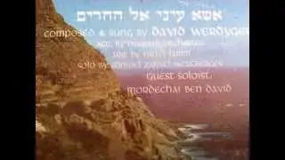 דוד ורדיגר - מעין עולם הבא David Werdyger - Maayn oylum habu - Khassidic song