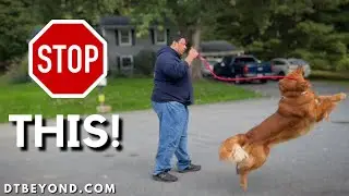 E-Collar Training: How To Walk Your High Energy Dog (And Why It Works)