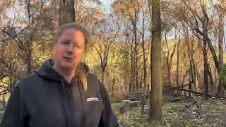 Fire Resilient Communities - Reserve regeneration after the Montrose bushfire