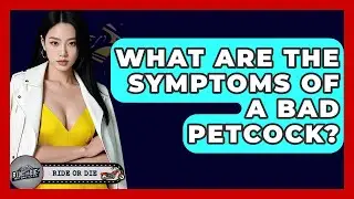 What Are The Symptoms Of A Bad Petcock? - Ride or Die Motorcycles