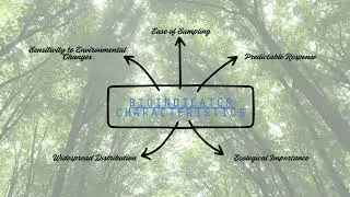 BIOINDICATOR SPECIES