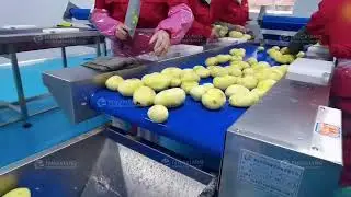 Large capacity potato chips french fries peeling cutting frying frozen machine