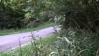 Leslie RS5T-RRO Driveby with a surprise??
