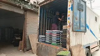 Eggs business Lahore eggs rate today|AAndy ka karobr 