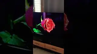 Sony Bravia OLED a80j TV 4K quality