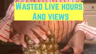 Didz Garden  is live! My LIVE hours watched and views not counted! So Frustrating