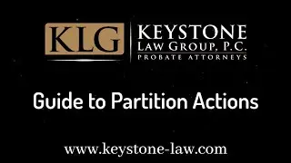 Guide to Partition Actions