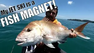 My Waverunner Fishing Jet Ski is a FISH MAGNET!