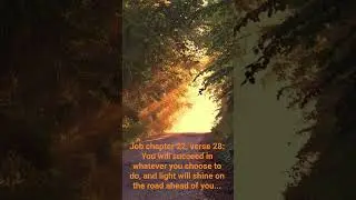 Gospel of Sunshine verse 11. #bibleverse #dailymotivation #dailybibleverse #dailybread