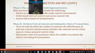 Audit objectives