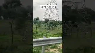 Don&rsquo;t miss end #music #song #arijitsingh #newsong #funny #duck
