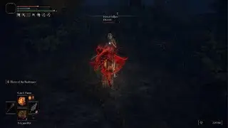 ELDEN RING Fire Monk invasion in Weeping Peninsula 5