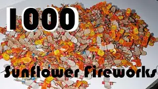 1000 Sunflower Fireworks