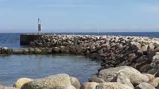 &Aring;lb&aelig;k i Danmark 🇩🇰