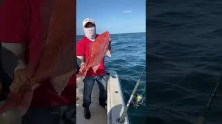 The fish is okay #fishing #outdoor #angler #fish #