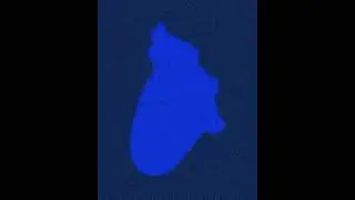 GEEBS - Ocean (Vertical Lyric Video)
