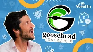 Страховая франшиза GOOSEHEAD. Будущий король индустрии? 👑