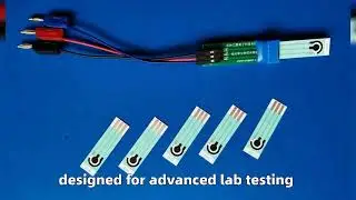Screen-Printed Electrode Electrochemical Biosensor C-2000 Modified Carbon Electrode