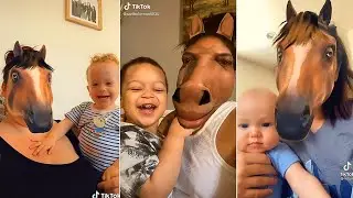 Horse filter - Try not to laugh | Tiktok Compilation #3