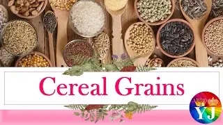 Cereal Grains | List of Grains | Types of cereal grains | Healthy cereal grains | High-fiber Grains