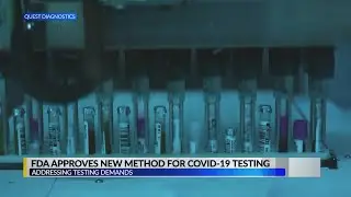 FDA approves first batch testing for COVID-19 to increase testing