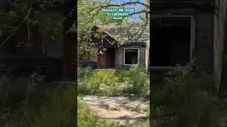 Reviving the Forgotten: The Harsh Reality of Brightmoor in Detroit