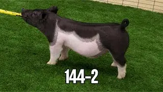 144-2 chrome barrow