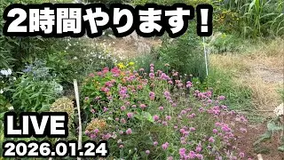 ◆2時間かけて土壌改良します！絶対見ないでねっ！