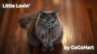 Little Lovin&rsquo; by CoCoHart (Official Music Video &ndash; Told by a Cat)