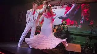 No me hagas sufrir  en Alfaro's  Con Jose Junco ,Mayelu, Miguel y Adolfo Herrera  Diciembre 2025