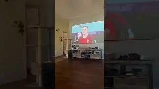Vava 4k with ALR 100&rdquo; screen