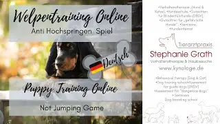 Welpentraining, Das Anti Hochspringen Spiel