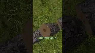 So FLIEGST du im LS17!