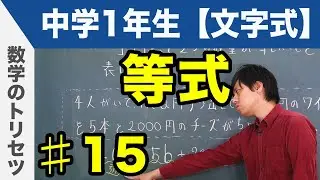 等式【中学1年生 文字式】数学