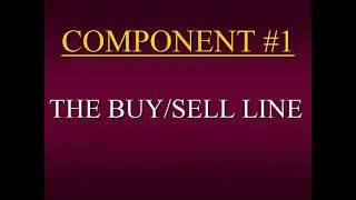 Steven Primo | Specialist Trading